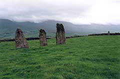 Example of a prehistoric stone alignment featuring petroglyphs on the surface of the outlier stone, at Ardamore, on the Dingle Peninsula, County Kerry