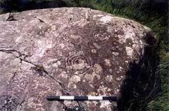 Example of cup-and-ring motifs at Lough Adoon, on the Dingle Peninsula, County Kerry