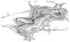 click to enlarge