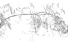 click to enlarge