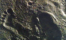 click to enlarge