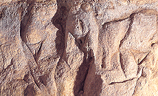 click to enlarge