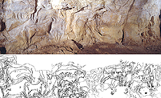 click to enlarge