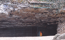 click to enlarge
