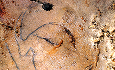 click to enlarge