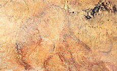 click to enlarge