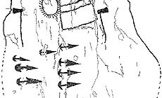 click to enlarge