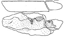 click to enlarge