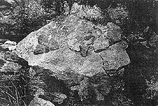 click to enlarge