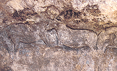 click to enlarge