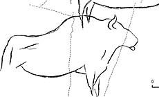 click to enlarge