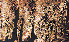 click to enlarge