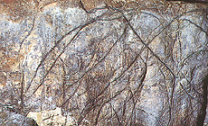 click to enlarge