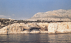 click to enlarge