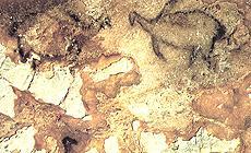 click to enlarge