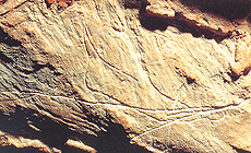 click to enlarge