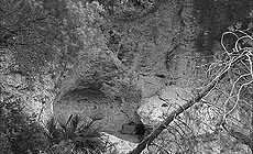 click to enlarge