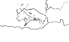 click to enlarge
