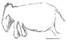 click to enlarge