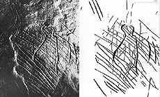 click to enlarge