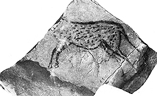 click to enlarge
