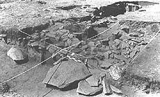 click to enlarge