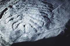 Valsusa, meandering figures, Bronze Age